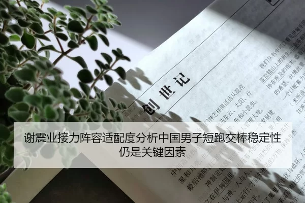 谢震业接力阵容适配度分析中国男子短跑交棒稳定性仍是关键因素